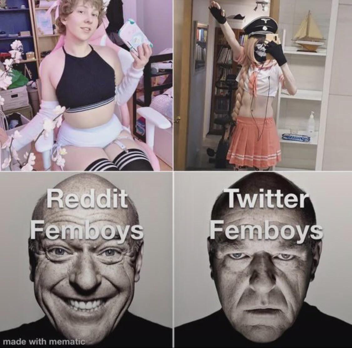 twitter vs reddit femboy ahh Blank Meme Template