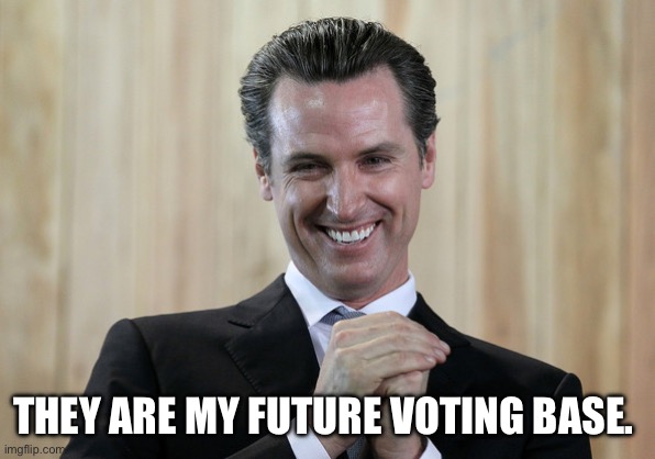 Scheming Gavin Newsom  | THEY ARE MY FUTURE VOTING BASE. | image tagged in scheming gavin newsom | made w/ Imgflip meme maker