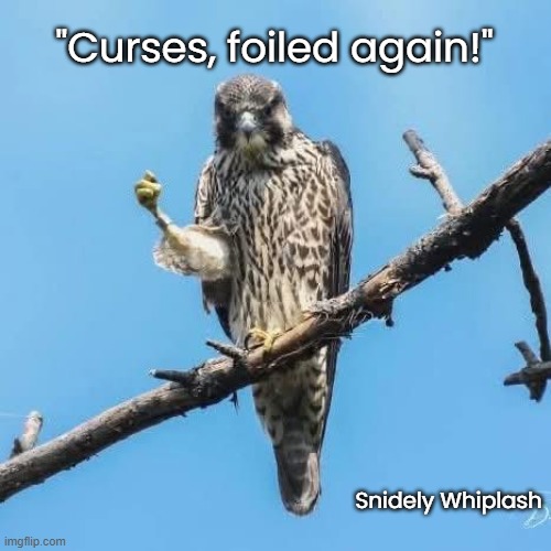 bird of prey | "Curses, foiled again!"; Snidely Whiplash | image tagged in funny,funny memes,bird,cartoon | made w/ Imgflip meme maker