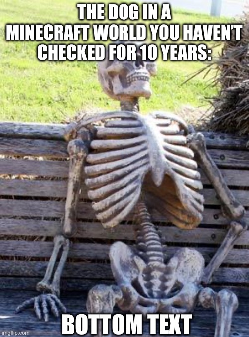 The dog waiting | THE DOG IN A MINECRAFT WORLD YOU HAVEN’T CHECKED FOR 10 YEARS:; BOTTOM TEXT | image tagged in memes,waiting skeleton | made w/ Imgflip meme maker