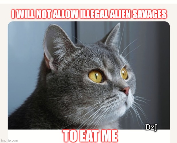 MAGA Kitty | I WILL NOT ALLOW ILLEGAL ALIEN SAVAGES; DzJ; TO EAT ME | image tagged in cute cat,maga,ruler,republican,lion king | made w/ Imgflip meme maker