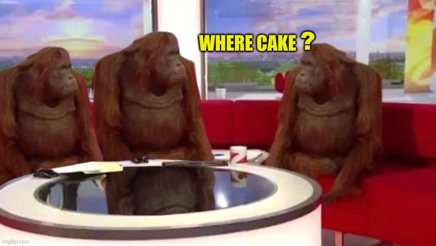 WHERE CAKE ? | image tagged in where monkey | made w/ Imgflip meme maker