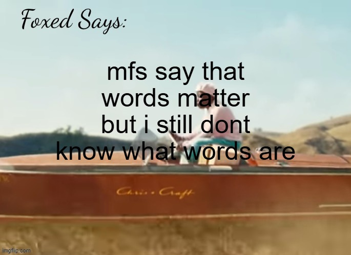 can someone explain what words are please | mfs say that words matter but i still dont know what words are | image tagged in foxed cmiygl temp | made w/ Imgflip meme maker