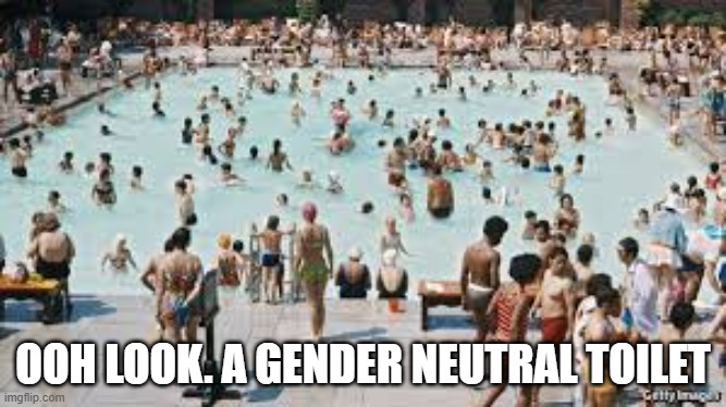 Here we have a gender neutral toilet.   - funny - | OOH LOOK. A GENDER NEUTRAL TOILET | image tagged in funny,toilet,humor,gender identity,gender,swimming pool | made w/ Imgflip meme maker