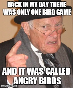 Back In My Day Meme | BACK IN MY DAY THERE WAS ONLY ONE BIRD GAME AND IT WAS CALLED ANGRY BIRDS | image tagged in memes,back in my day | made w/ Imgflip meme maker