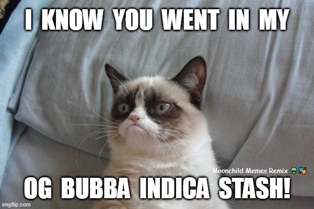 Grumpy Cat Indica Stash | I  KNOW  YOU  WENT  IN  MY; Moonchild Memes Remix 👽🎭; OG  BUBBA  INDICA  STASH! | image tagged in memes,grumpy cat bed,grumpy cat | made w/ Imgflip meme maker