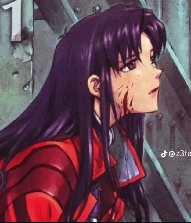 Misato in rain Blank Meme Template