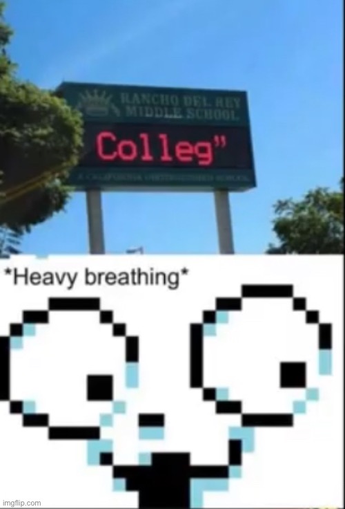 image tagged in temmie | made w/ Imgflip meme maker