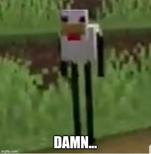 Cursed Minecraft chicken | DAMN... | image tagged in cursed minecraft chicken | made w/ Imgflip meme maker