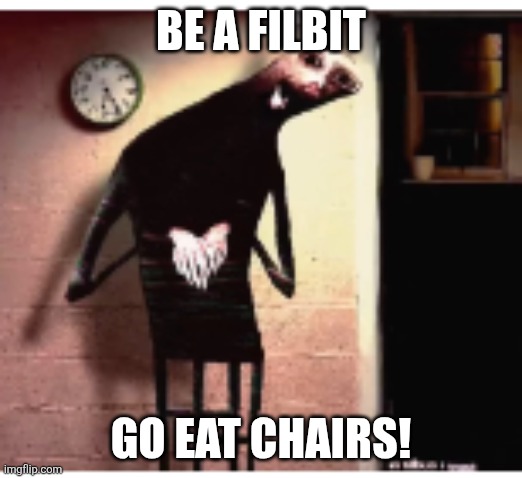 Filbus | BE A FILBIT GO EAT CHAIRS! | image tagged in filbus | made w/ Imgflip meme maker