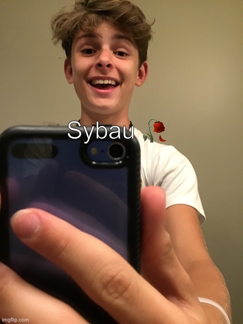 Saved | Sybau ? | image tagged in saved | made w/ Imgflip meme maker