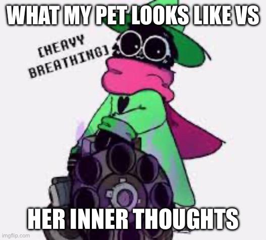 Ralsei | WHAT MY PET LOOKS LIKE VS; HER INNER THOUGHTS | image tagged in ralsei | made w/ Imgflip meme maker