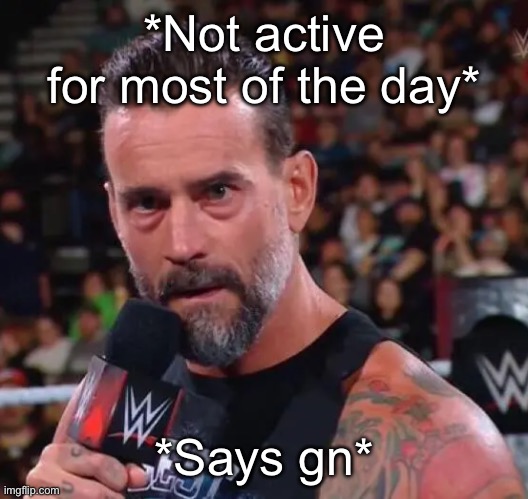 CM Punk | *Not active for most of the day*; *Says gn* | image tagged in cm punk | made w/ Imgflip meme maker