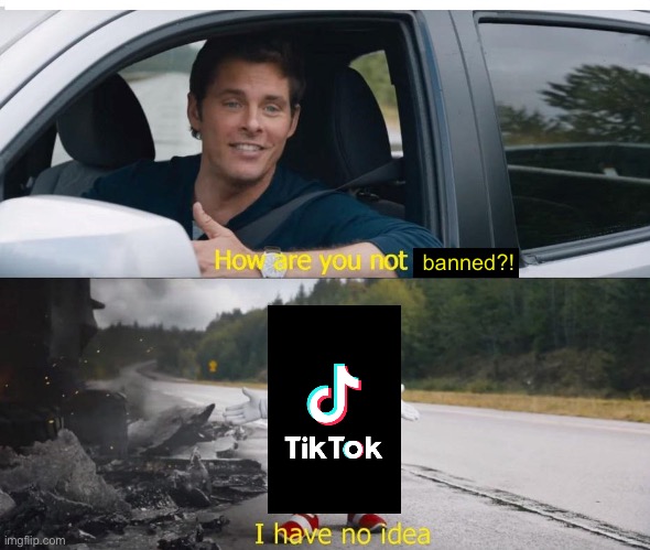 sonic how are you not dead | banned?! | image tagged in sonic how are you not dead,tiktok sucks,tiktok,why,what can i say except delete this | made w/ Imgflip meme maker