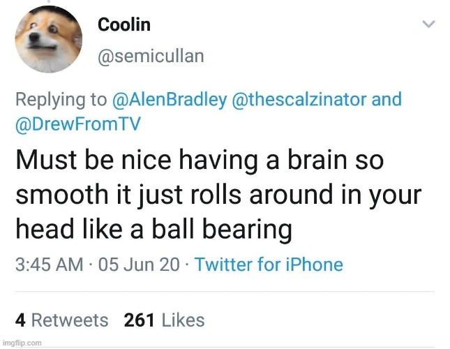 image tagged in brain,smooth,roll,rolling,head,ball bearing | made w/ Imgflip meme maker