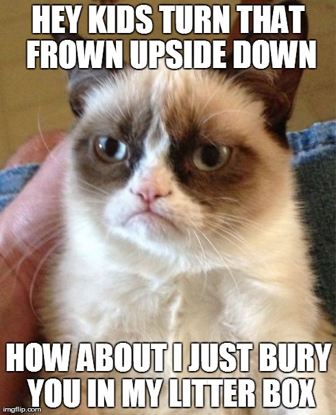Grumpy Cat | HEY KIDS TURN THAT FROWN UPSIDE DOWN HOW ABOUT I JUST BURY YOU IN MY LITTER BOX | image tagged in memes,grumpy cat | made w/ Imgflip meme maker