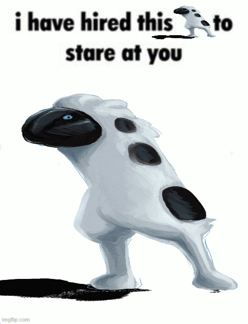 I have hired this to stare at you blank template | image tagged in i have hired this to stare at you blank template,threeture | made w/ Imgflip meme maker