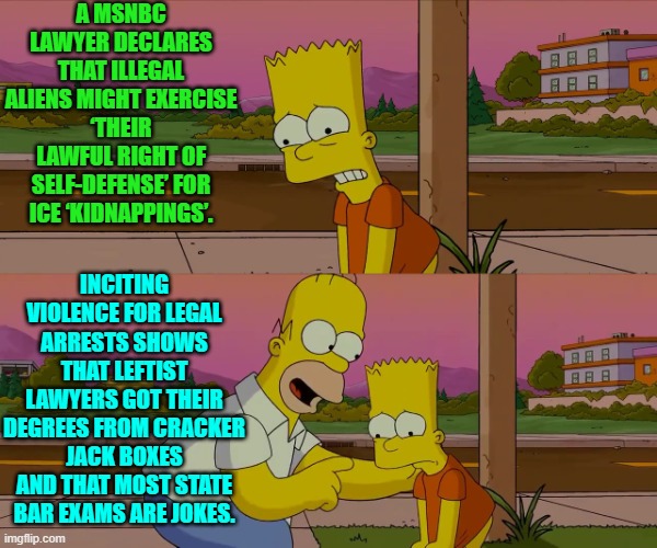 This lawyer needs to be arrested and charged for inciting violence against ICE agents. | A MSNBC LAWYER DECLARES THAT ILLEGAL ALIENS MIGHT EXERCISE ‘THEIR LAWFUL RIGHT OF SELF-DEFENSE’ FOR ICE ‘KIDNAPPINGS’. INCITING VIOLENCE FOR LEGAL ARRESTS SHOWS THAT LEFTIST LAWYERS GOT THEIR DEGREES FROM CRACKER JACK BOXES AND THAT MOST STATE BAR EXAMS ARE JOKES. | image tagged in homer and bart worst day so far | made w/ Imgflip meme maker