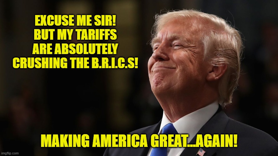 EXCUSE ME SIR! BUT MY TARIFFS ARE ABSOLUTELY CRUSHING THE B.R.I.C.S! MAKING AMERICA GREAT...AGAIN! | made w/ Imgflip meme maker