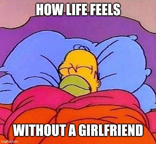for those who don't know i broke up | HOW LIFE FEELS; WITHOUT A GIRLFRIEND | image tagged in homer simpson sleeping peacefully | made w/ Imgflip meme maker