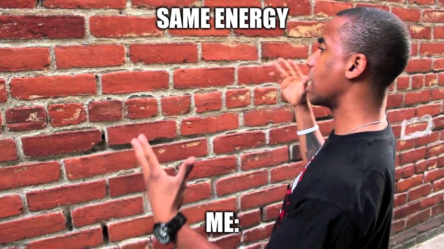 Man talking to wall | SAME ENERGY ME: | image tagged in man talking to wall | made w/ Imgflip meme maker