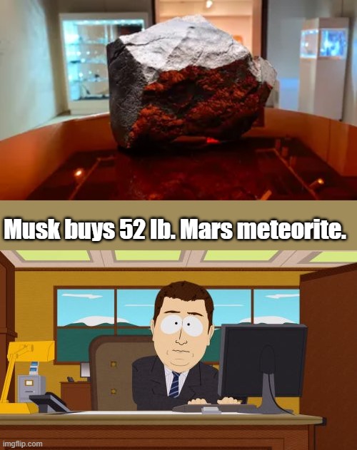 Musk buys 52 lb. Mars meteorite. | image tagged in memes,aaaaand its gone | made w/ Imgflip meme maker
