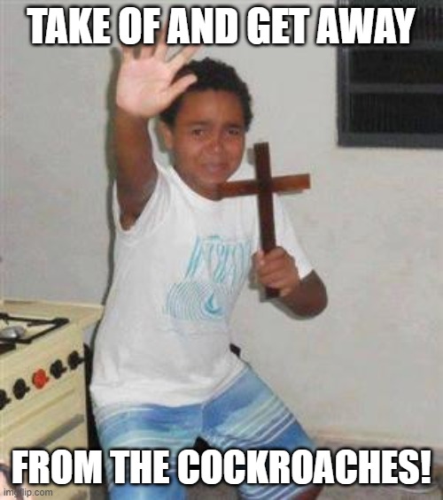 Scared Kid | TAKE OF AND GET AWAY FROM THE COCKROACHES! | image tagged in scared kid | made w/ Imgflip meme maker