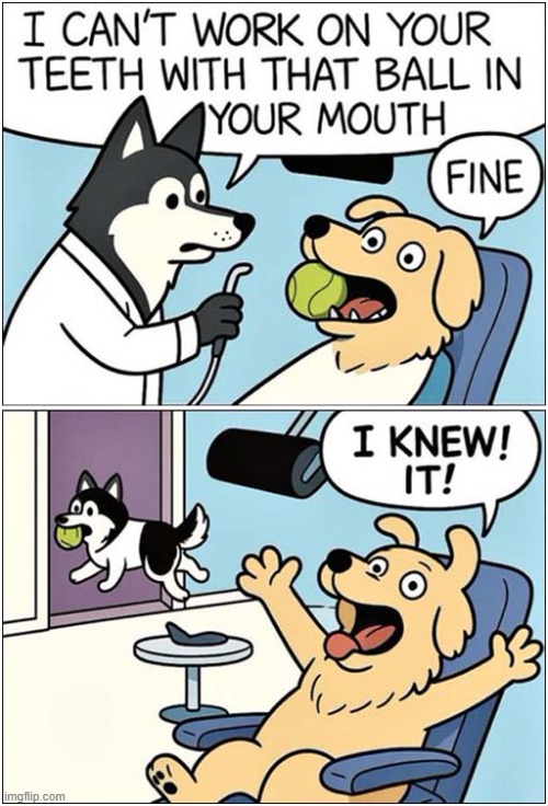 Curses - Fooled Again ! | image tagged in dogs,dentist,ball,fooled again | made w/ Imgflip meme maker