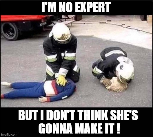 A Pointless Resuscitation ? | I'M NO EXPERT; BUT I DON'T THINK SHE'S
 GONNA MAKE IT ! | image tagged in pointless,resuscitation,dark humour | made w/ Imgflip meme maker