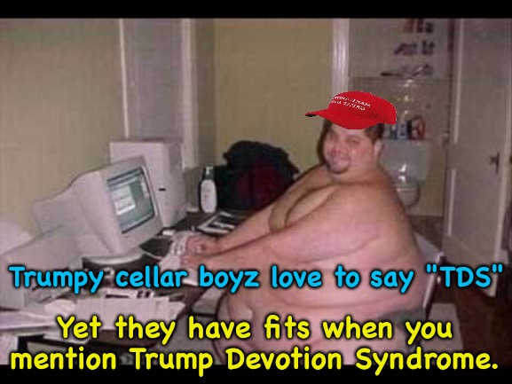 Trumpy Hypocrisy | Trumpy cellar boyz love to say "TDS"; Yet they have fits when you mention Trump Devotion Syndrome. | image tagged in basement troll | made w/ Imgflip meme maker
