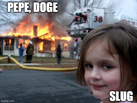 slug | PEPE, DOGE; SLUG | image tagged in memes,disaster girl | made w/ Imgflip meme maker