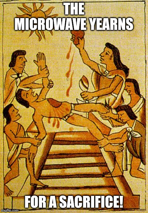 Aztec sacrifice  | THE MICROWAVE YEARNS FOR A SACRIFICE! | image tagged in aztec sacrifice | made w/ Imgflip meme maker