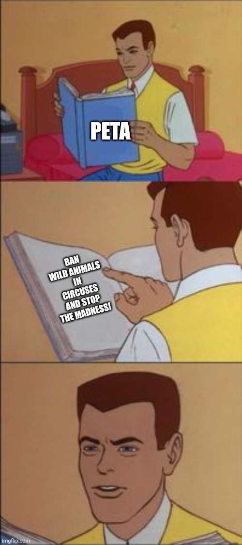 Peter parker reading a book  | PETA; BAN WILD ANIMALS IN CIRCUSES AND STOP THE MADNESS! | image tagged in peter parker reading a book,peta,circus,wild animals,ban,animal cruelty | made w/ Imgflip meme maker