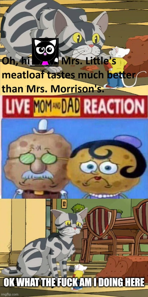 Me Ruining A Fill In Meme #161 | OK WHAT THE FUCK AM I DOING HERE | image tagged in ruin this fill in meme 161 | made w/ Imgflip meme maker