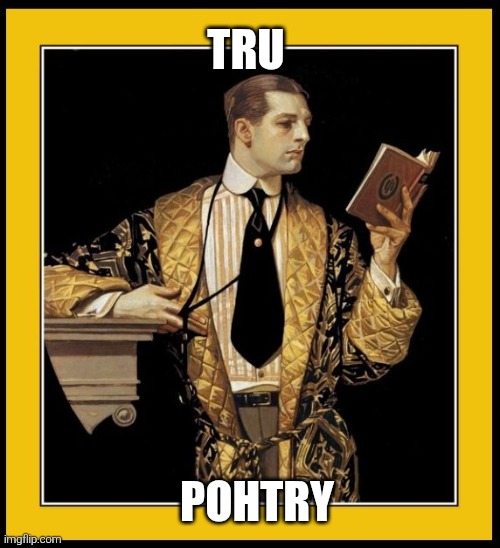 Poetry Dude | POHTRY TRU | image tagged in poetry dude | made w/ Imgflip meme maker