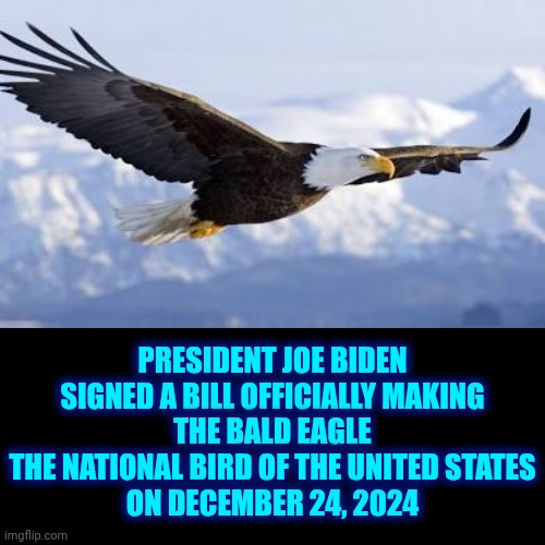 President Joe Biden | PRESIDENT JOE BIDEN
SIGNED A BILL OFFICIALLY MAKING
THE BALD EAGLE
THE NATIONAL BIRD OF THE UNITED STATES
ON DECEMBER 24, 2024 | image tagged in memes,joe biden,bald eagle,made in usa,patriotic eagle,democratic party | made w/ Imgflip meme maker