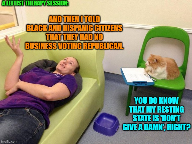 Also the cat's food bowl is empty. | A LEFTIST THERAPY SESSION:; AND THEN I TOLD BLACK AND HISPANIC CITIZENS THAT THEY HAD NO BUSINESS VOTING REPUBLICAN. YOU DO KNOW THAT MY RESTING STATE IS 'DON'T GIVE A DAMN', RIGHT? | image tagged in yep | made w/ Imgflip meme maker