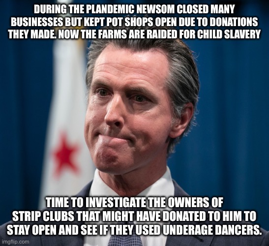 Gavin Newsom | DURING THE PLANDEMIC NEWSOM CLOSED MANY BUSINESSES BUT KEPT POT SHOPS OPEN DUE TO DONATIONS THEY MADE. NOW THE FARMS ARE RAIDED FOR CHILD SLAVERY; TIME TO INVESTIGATE THE OWNERS OF STRIP CLUBS THAT MIGHT HAVE DONATED TO HIM TO STAY OPEN AND SEE IF THEY USED UNDERAGE DANCERS. | image tagged in gavin newsom | made w/ Imgflip meme maker