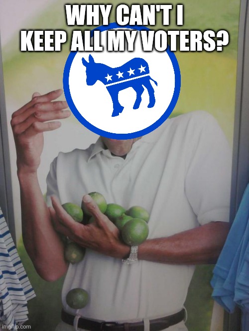 Why Can't I Hold All These Limes | WHY CAN'T I KEEP ALL MY VOTERS? | image tagged in why can't i hold all these limes,political meme,democratic party | made w/ Imgflip meme maker