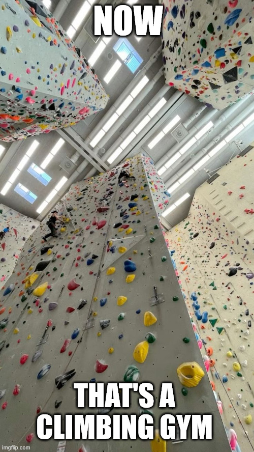 Best Climbing Gym | NOW; THAT'S A CLIMBING GYM | image tagged in climbing,gym,memes,lattice climbing,latticeclimbing,fun | made w/ Imgflip meme maker