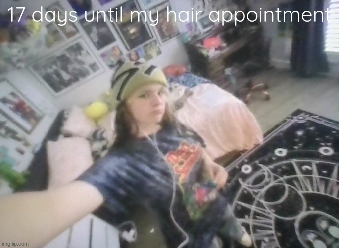 im tuff | 17 days until my hair appointment | image tagged in im tuff | made w/ Imgflip meme maker