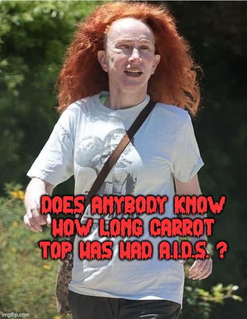 Liberal Plague | DOES ANYBODY KNOW HOW LONG CARROT TOP HAS HAD A.I.D.S. ? | image tagged in kathy griffin,dark humor,stolen from gutfeld | made w/ Imgflip meme maker