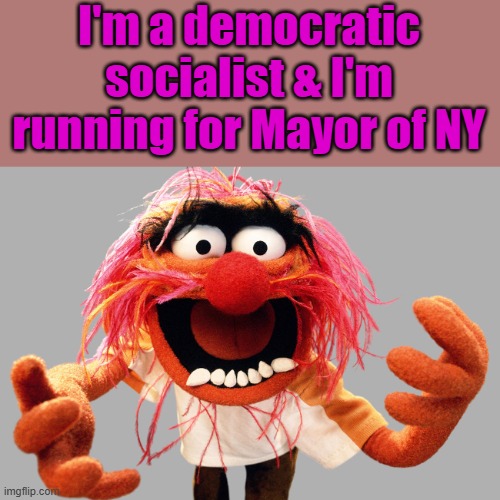 The NWO puppet DEM / Socialism out of the closet finally. | I'm a democratic socialist & I'm running for Mayor of NY | image tagged in animal muppets | made w/ Imgflip meme maker
