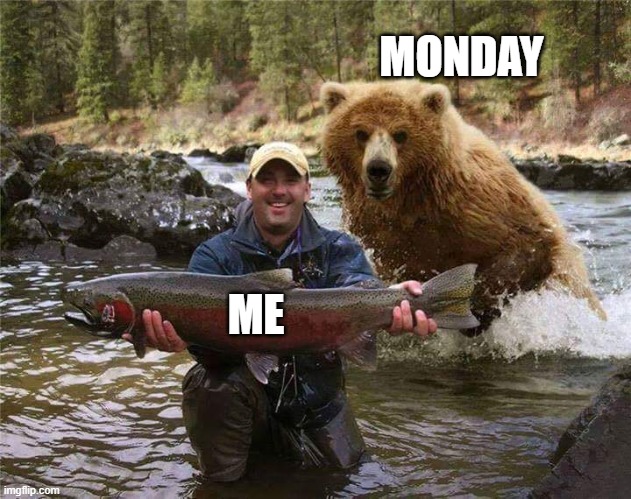 Monday Beat | MONDAY; ME | image tagged in monday,me,bear,fish,work,summer | made w/ Imgflip meme maker