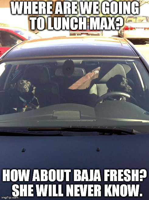 WHERE ARE WE GOING TO LUNCH MAX? HOW ABOUT BAJA FRESH?  SHE WILL NEVER KNOW. | made w/ Imgflip meme maker