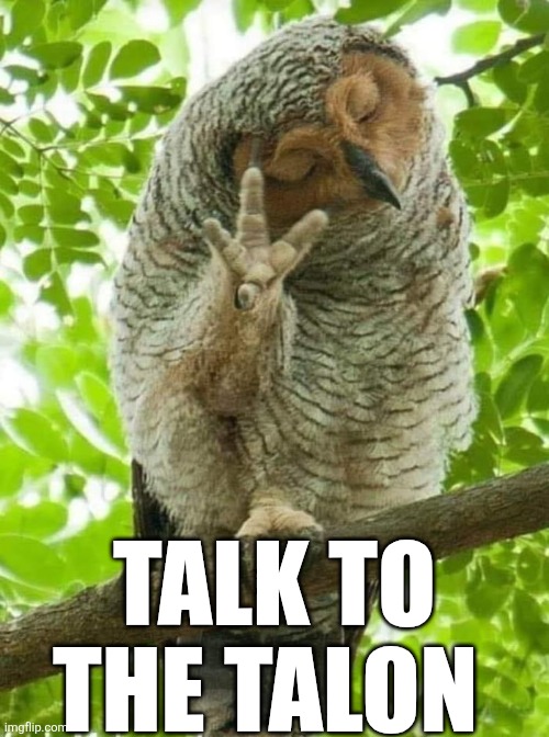 Talk To The Talon | TALK TO THE TALON | image tagged in chrisjoines1 | made w/ Imgflip meme maker