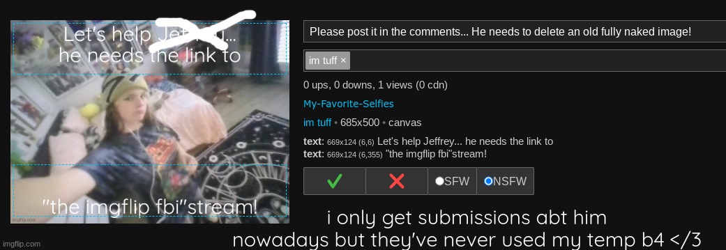i only get submissions abt him nowadays but they've never used my temp b4 </3 | made w/ Imgflip meme maker