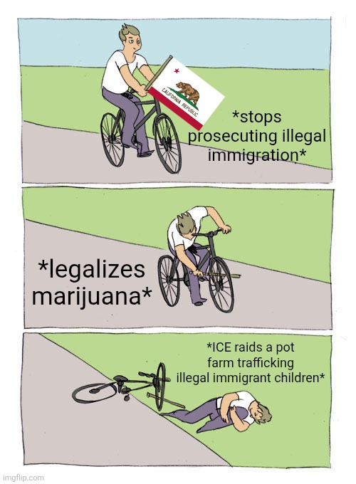 blunt force trauma | *stops prosecuting illegal immigration*; *legalizes marijuana*; *ICE raids a pot farm trafficking illegal immigrant children* | image tagged in memes,bike fall | made w/ Imgflip meme maker