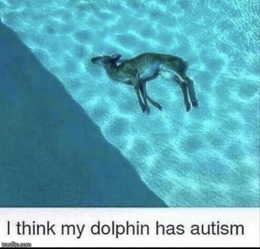 . | image tagged in shitpost | made w/ Imgflip meme maker