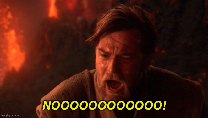 You were meant to destroy the sith | NOOOOOOOOOOOO! | image tagged in you were meant to destroy the sith | made w/ Imgflip meme maker